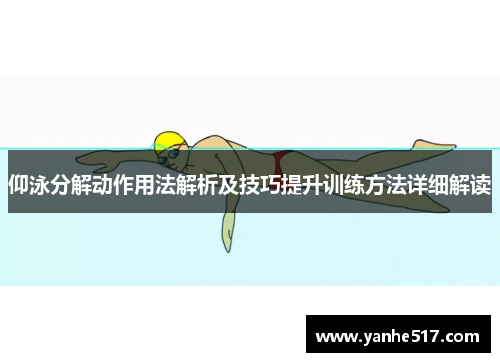 仰泳分解动作用法解析及技巧提升训练方法详细解读